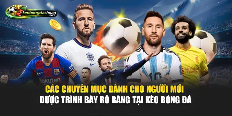 Các chuyên mục dành cho người mới được trình bày rõ ràng tại Kèo bóng đá