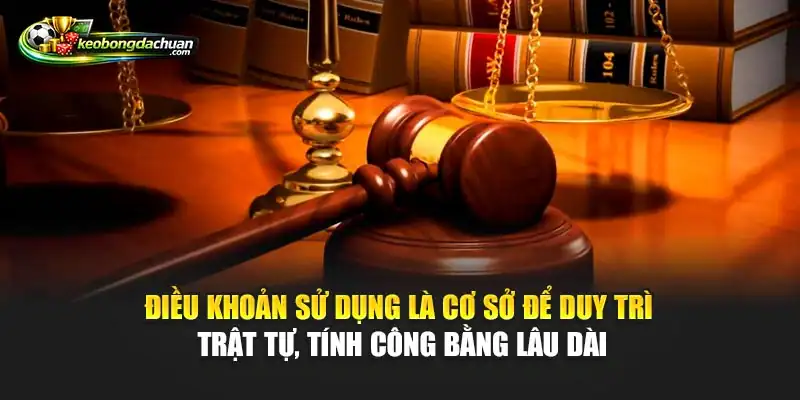 Điều khoản sử dụng là cơ sở để duy trì trật tự, tính công bằng lâu dài