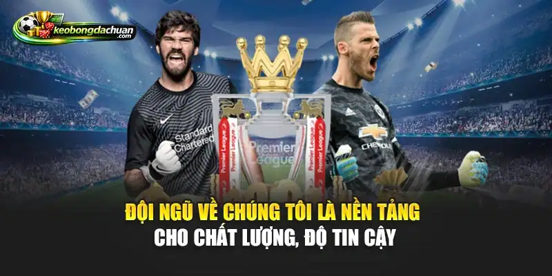 Đội ngũ về chúng tôi là nền tảng cho chất lượng, độ tin cậy