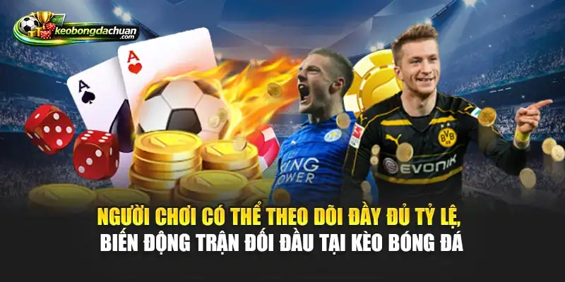 Người chơi có thể theo dõi đầy đủ tỷ lệ, biến động trận đối đầu tại Kèo bóng đá