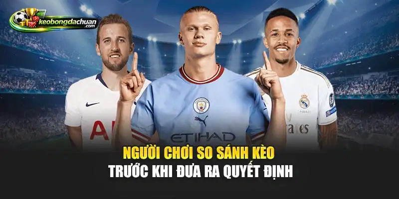 Người chơi so sánh kèo trước khi đưa ra quyết định