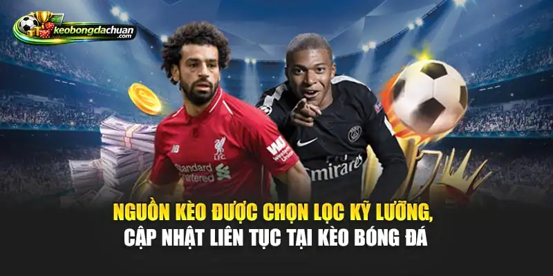 Nguồn kèo được chọn lọc kỹ lưỡng, cập nhật liên tục tại Kèo bóng đá