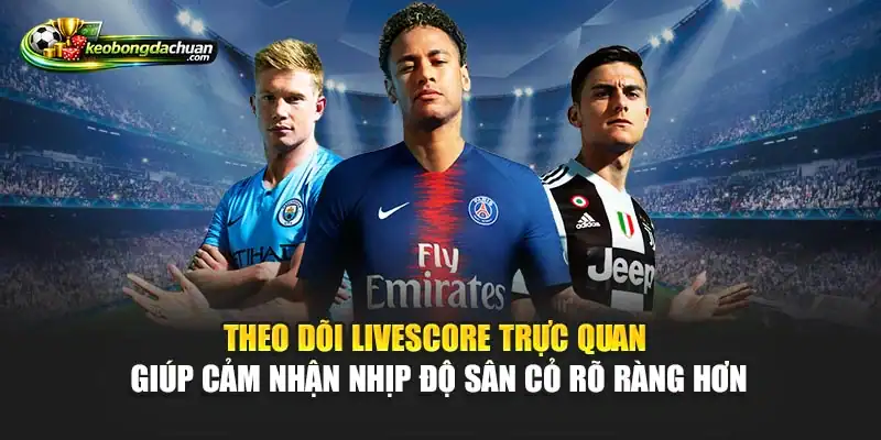 Theo dõi livescore trực quan giúp cảm nhận nhịp độ sân cỏ rõ ràng hơn