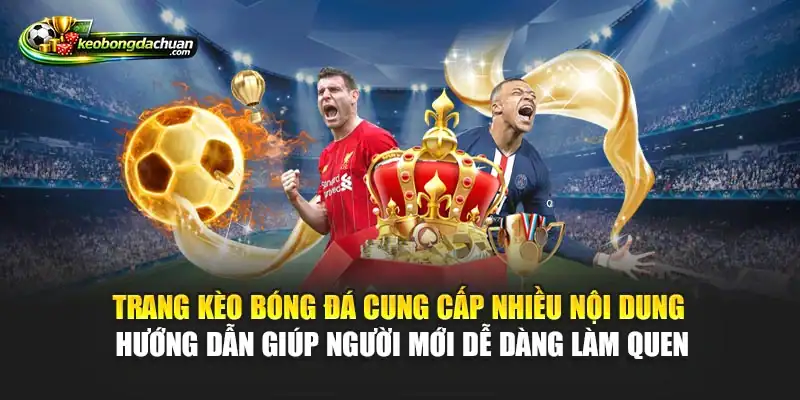 Trang Kèo bóng đá cung cấp nhiều nội dung hướng dẫn giúp người mới dễ dàng làm quen