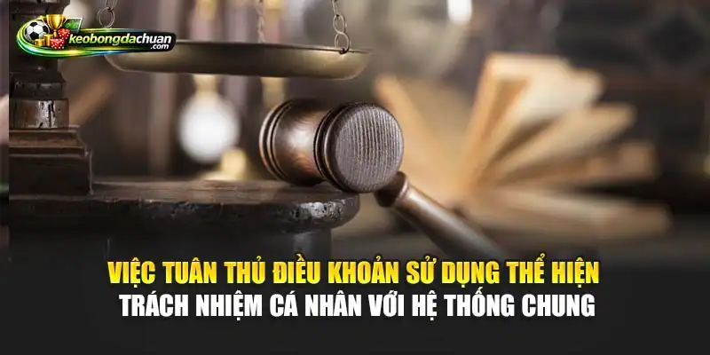 Việc tuân thủ điều khoản sử dụng thể hiện trách nhiệm cá nhân với hệ thống chung